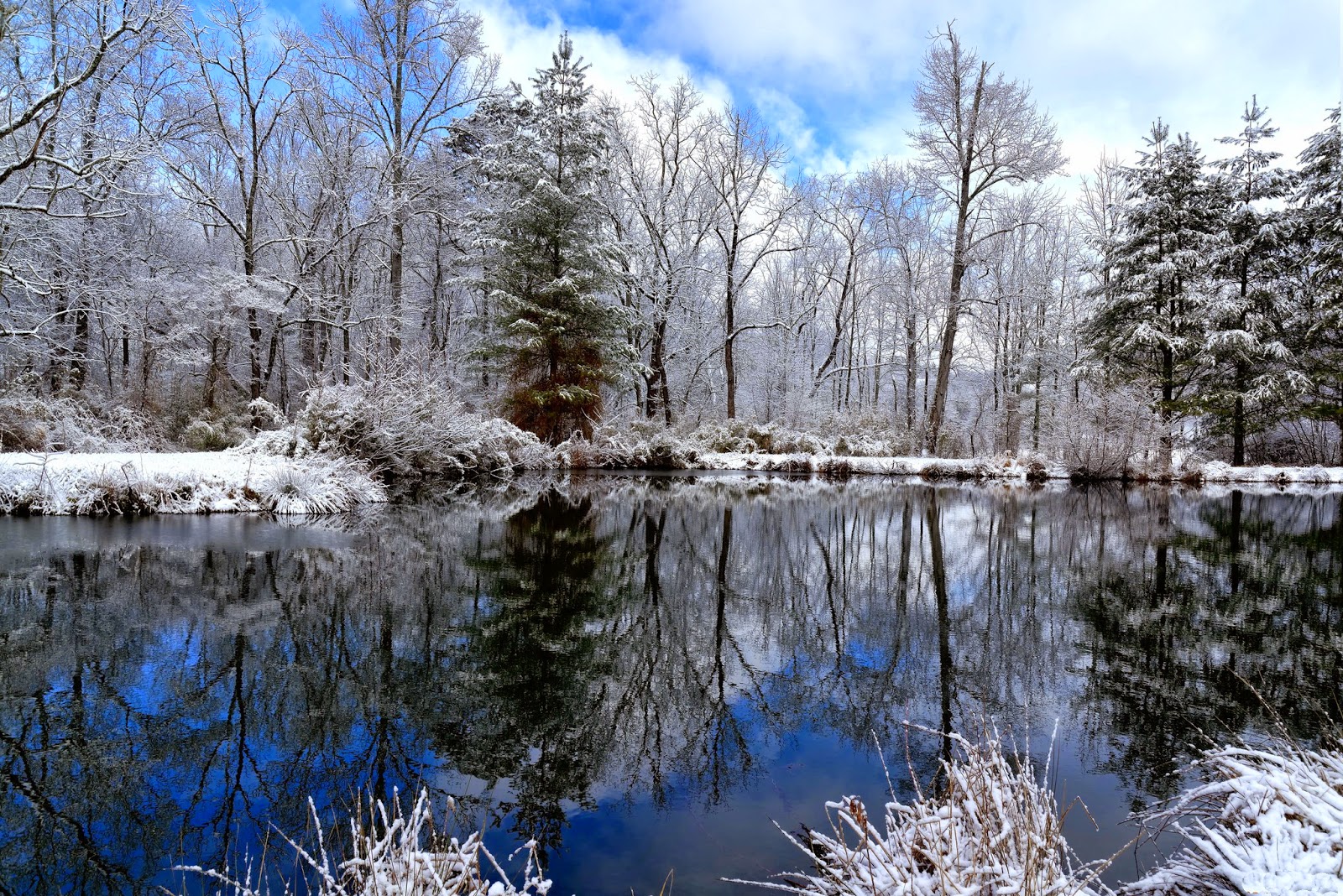 Ewallpics: 30 Beautiful Winter Wallpapers [Ewallpics]